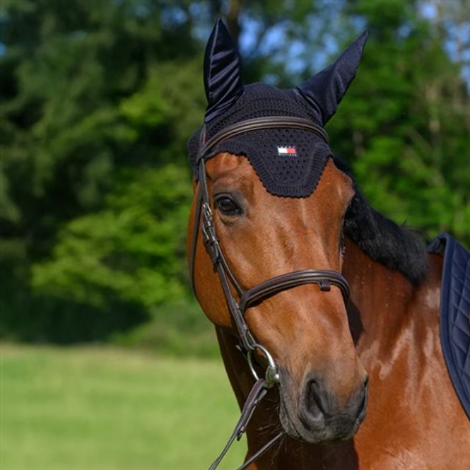 Hovedbilde Tommy Hilfiger, Lexington Fly Hood, Desert Sky