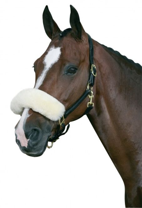 Hovedbilde Horse Guard Nesepus