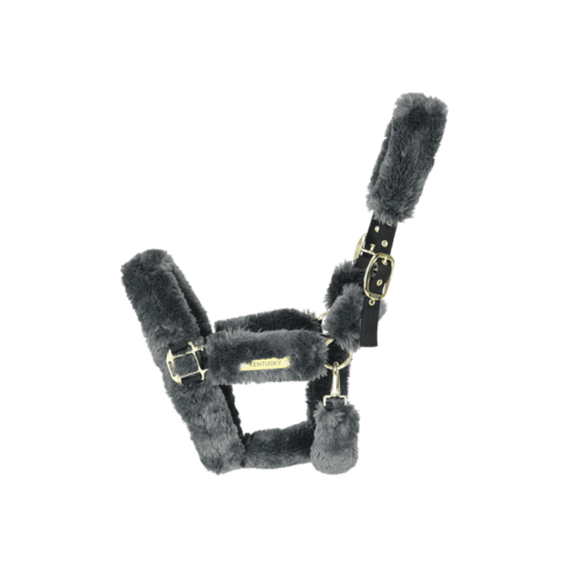 Kentucky Saueskinngrime