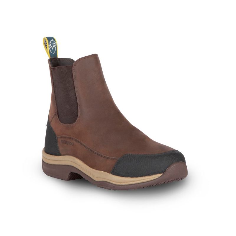 Moretta Genoa XGRIP Jodphurs