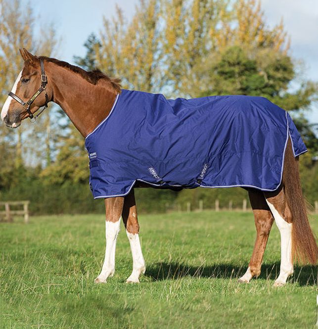 Hovedbilde Horseware Amigo Hero 900, Classic Front 50 Gram ...