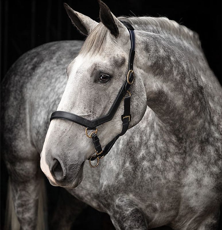 Horseware Rambo Micklem Headcollar 