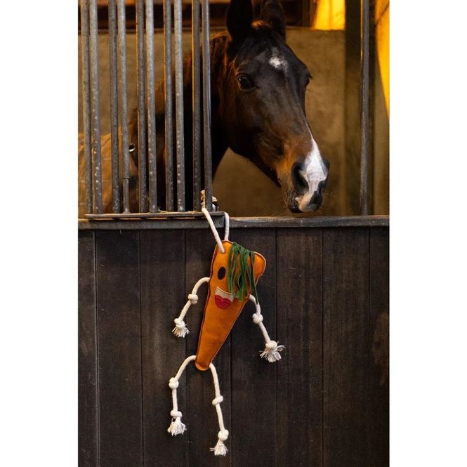 Hovedbilde Foodie Friends Carrot Leke