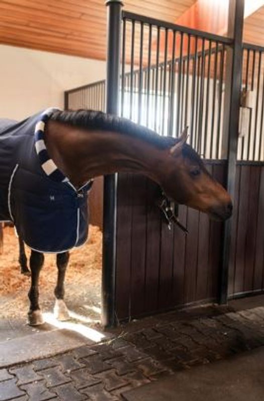 Horseware Newmarket Cosy Stable 100 Gram
