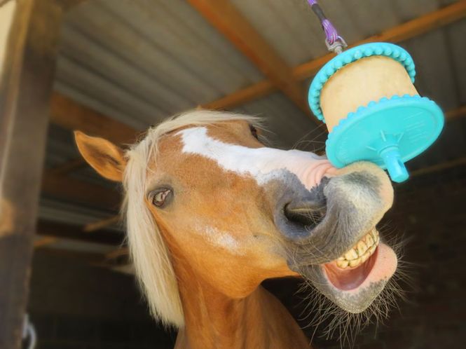 Hovedbilde Likit Refill 650 gram