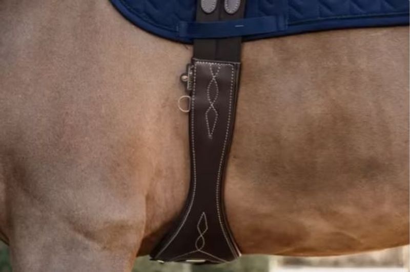 Kentucky Anatomic Gjord
