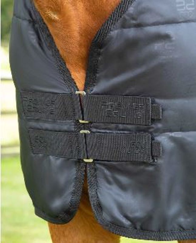 Premier Equine Liner 100 Gram