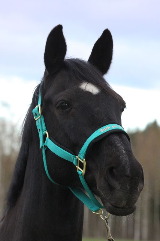 Back On Track Grime Werano