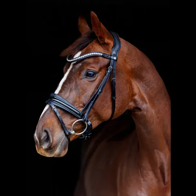 Hovedbilde SD Design Marzog Anniversary Hodelag 