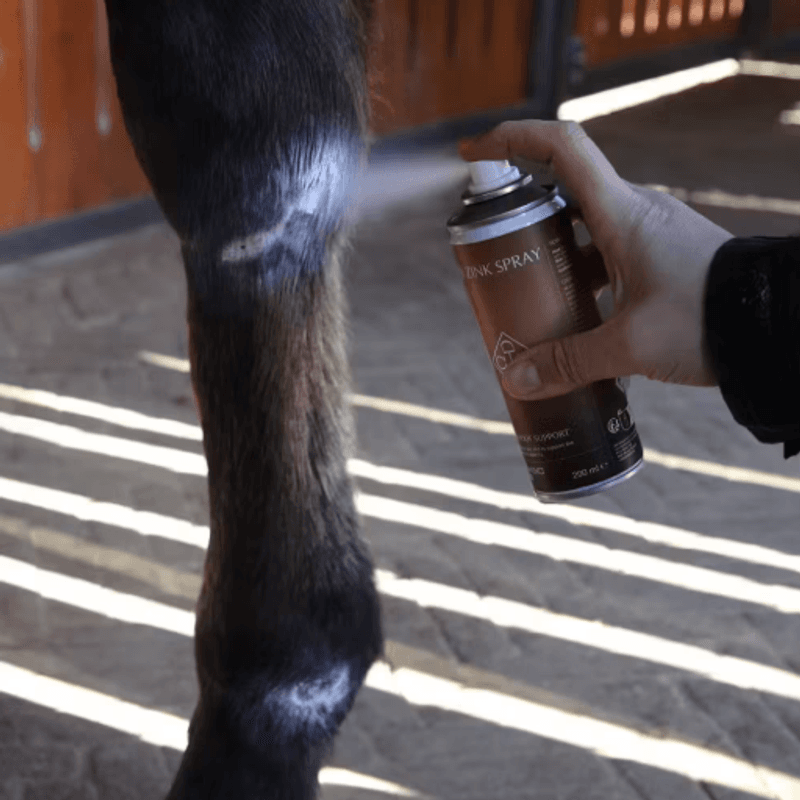 Grooming DeLuxe Zinc Spray 