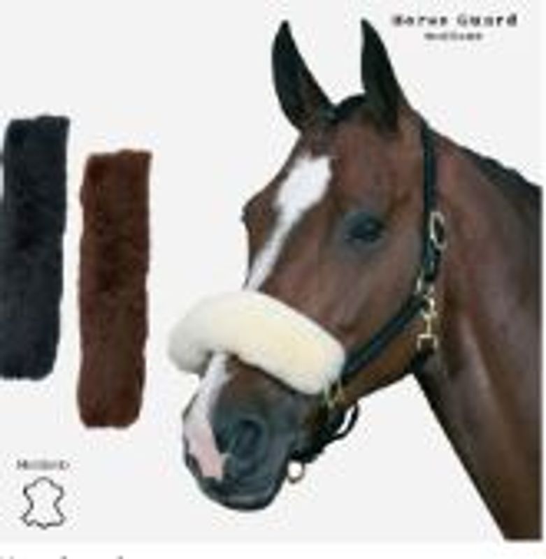 Horse Guard Nesepus