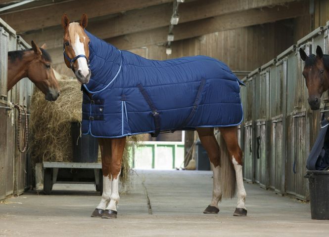 Hovedbilde RW Combo Stalldekken, 300 Gram