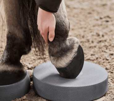 New hiking products