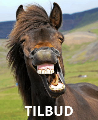 Tilbudside