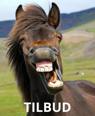 Tilbudside