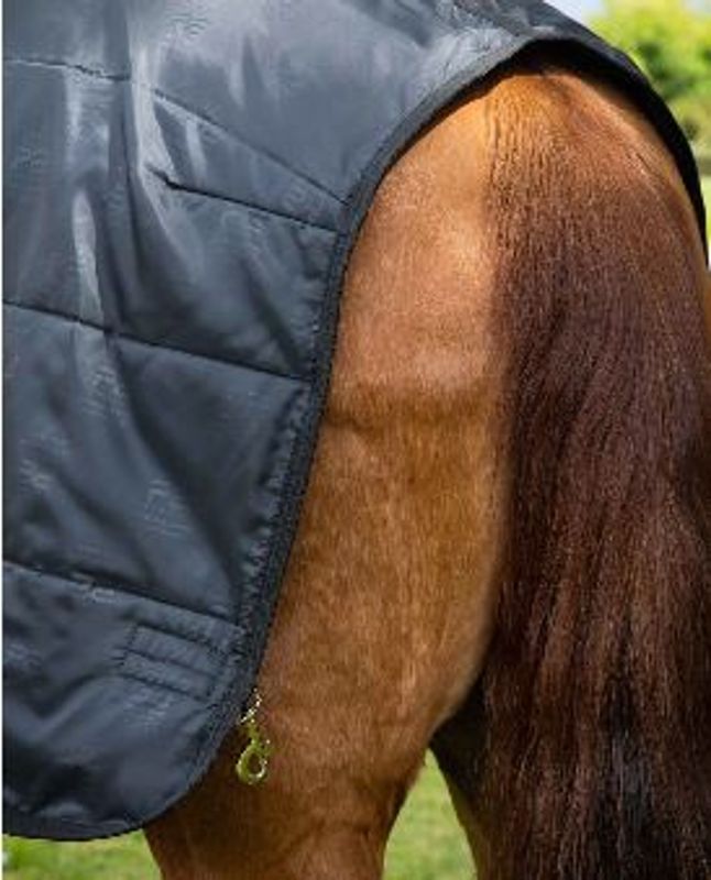 Premier Equine Liner 100 Gram