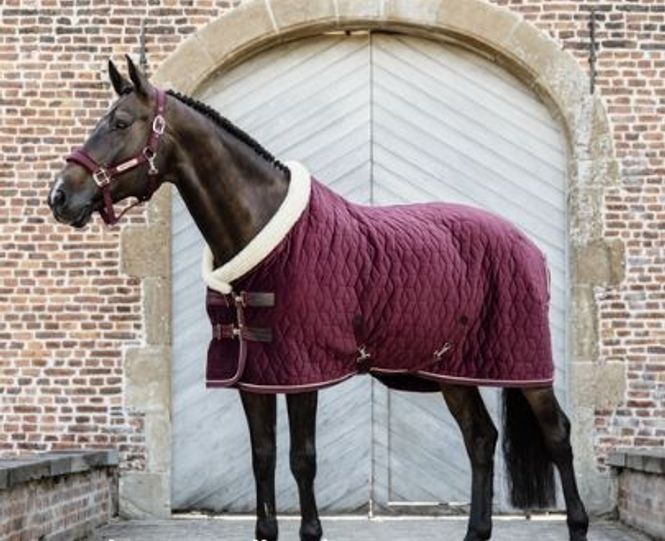 Hovedbilde Kentucky Showrug Velvet Bordeaux, 160 Gram