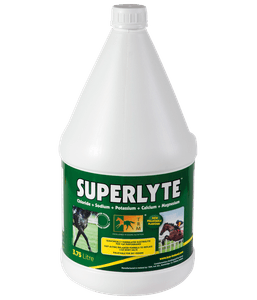 Hovedbilde TRM Superlyte 